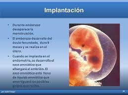 Implantacion Del Arranque Humano Cuanto Tiempo Tarda El Ovulo Fecundado En Implantarse En La Pared Del Utero