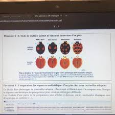 Ou je pourrais faire des chaussures de stripteaseur. Pourrais Je Ou Pourrai Je