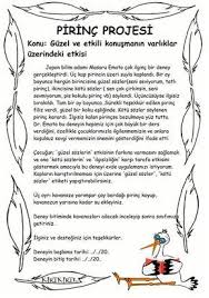 Pirinc Projesi Okul Okul Oncesi Rehber Ogretmen