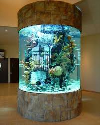 21 Stunning Indoor Aquarium Design Ideas For Inspiring Home Decorations Homedesignideas Homedecordiy Amazing Aquariums Aquarium Decorations Aquarium Design