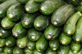 Harvest the pods every other day to keep both quality and production at a high level. Zucchini Black Beauty 15 Seeds Florida Seed Garden