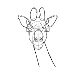 We did not find results for: Comment Dessiner Une Girafe Blog Dessindigo