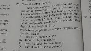 Peribahasa melayu yang paling popular setiap hari. Seperti Ikan Pulang Ke Lubuk Angkoo