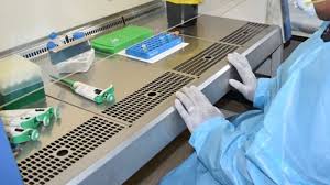 The highly contagious delta variant has driven the. Melbourne Lab Confirms That Recent Cases Of Covid 19 In Fiji Are Of The Dangerous B1617 Variant That Was First Detected In India