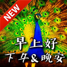 We did not find results for: Chinese Good Morning Afternoon Good Night Wishes Apk 9 10 05 2 Download For Android Download Chinese Good Morning Afternoon Good Night Wishes Xapk Apk Bundle Latest Version Apkfab Com