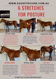 160 Horse Ideas In 2021 Horses Horse Care Horse Life