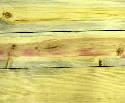 Premium quality blue pine lumber of a variety of dimensions at mill direct prices. Lodgepole Bluestain Pine Boards Top Yellow Stain Of S Download Scientific Diagram