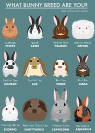 What S Your Sign 05 03 19 Zodiac Zodiac Signs Animals Zodiac Signs Funny Zodiac Signs
