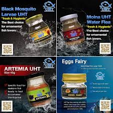 We did not find results for: Facebook