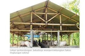 Manajemen penggemukan sapi potong di cv plesungan raya gondangrejo karanganyar pdf download gratis. 15 Desain Kandang Sapi Limosin Background Blog Garuda Cyber