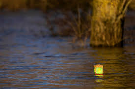De afvoer van de maas is normaal voor de tijd van het jaar. Hoogwater In De Maas Rivier Treedt Honderden Meters Buiten Oevers Bij Maren Kessel Foto Bd Nl