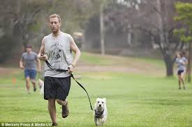 To even potty training and. Pet Owners Sign Up For Doggy Boot Camp To Lose Weight With Their Pooches Daily Mail Online