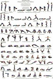 Yoga Basic Sequence Poses From Beginners To Intermediate