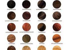 Oway Hair Color Chart Bedowntowndaytona Com