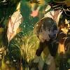 Check out amazing saria artwork on deviantart. 1