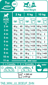 Royal Canin Mini Junior Feeding Chart Best Picture Of