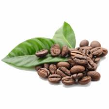Coffee Beans Leaves Transparent Transparent Background Coffee Beans Png Transparent Coffee Plant Coffee Grain Growing Coffee