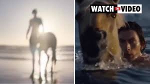 Adam driver is the face of burberry's new fragrance, hero, and the internet is reacting accordingly. K7uv 3ta6uuhzm