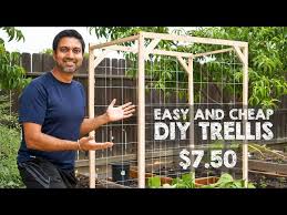 I needed a solution and the answer occurred to me after watching the cheisea flower show on tv and seeing walls of flowers… 13 Best Crops To Plant In Your Vertical Vegetable Garden Laptrinhx News
