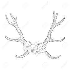 Explore 623989 free printable coloring pages for your kids and adults. Black And White Boho Deer Horns Coloring Book Royalty Free Cliparts Vectors And Stock Illustration Image 152060243