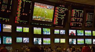 Resultado de imagem para trader esportivo