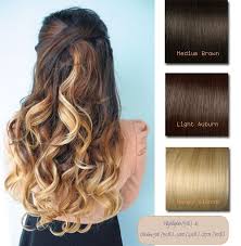 Brown Blonde Ombre Indian Remy Clip In Hair Extensions Ms053027h27 Ombre Hair Blonde Hair Color Light Brown Brown Ombre Hair
