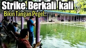 Kolam Pancing Galatama Lele Terbesar Se Sumatera Utara Strike Berkali Kali Youtube