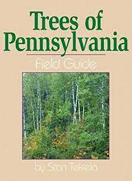 The book includes pictures of hundreds of trees' leaves, bark, cones, fruit and flowers, in addition to lengthier descriptions to help you verify without a doubt the type of tree you're studying. Trees Of Pennsylvania Field Guide Tree Identification Guides Tekiela Stan 9781591930471 Amazon Com Books