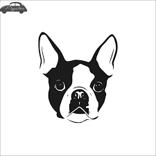 A boston terrier would typically go for about $25 to $300 when acquired from shelters and rescue facilities and $600 up to $4,350 per pooch when in addition, the boston terrier price relies heavily on where you choose to pick up your dog; Car Boston Terrier Dog Sticker Pet Shop Decal Posters Vinyl Wall Art Decals Quadro Parede Decor Mural Pet Shop Sticker Car Stickers Aliexpress