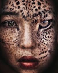 ▻ © Brandon Wayne Harrell •