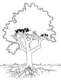 Pin By Leslie Hill On Play Room Ideas Tree Coloring Page Coloring Pages Bible Art Journaling Tree with flowers at spring time. tree coloring page coloring pages