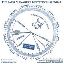 Goat Gestation Calendar