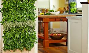 Designers should specify fixtures, bulbs, and placement to ensure that the living wall is evenly lit and receives the full spectrum of lighting required to grow healthy plants. 8 Simple Ways To Create An Indoor Vertical Garden In Your Home