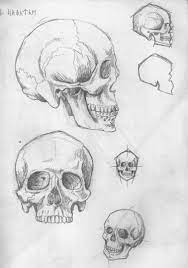 Pin By Nel On Art How To Skull Drawing Sketches Skulls Drawing Skull Drawing