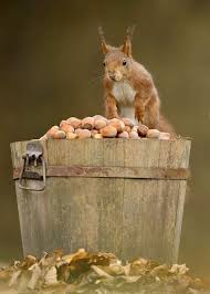 Katre Adli Kullanicinin Seviyorum Sizi Panosundaki Pin