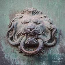 Snake usually are venomous and there bite can any animal no matter how large it is. Lion And Snake Digital Art By Liz Leyden