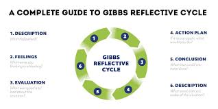 The reflective model i have chosen to use is gibbs model (gibbs 1988). Here S A Nursing Reflective Journal Assignment Sample For You