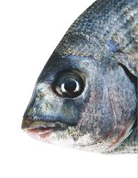 La Canthe Gerald Passedat Le Petit Nice Poisson Mediterranee C Richardhaughton Sanat Kolajlari Balik Hayvanlar