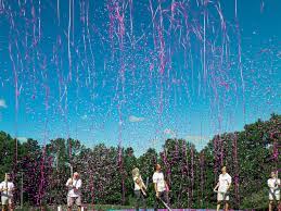 24 Confetti Streamers Cannons Gender Reveal Confetti Cannon Powder Cannon Sponge Ball Cannon Powder And Confetti Cannon Blue Pink White