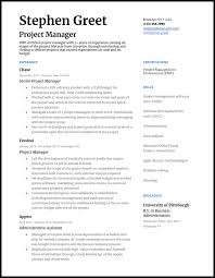 Key accomplishments • interacted with clients, vendors, prospects, management, and technical staff in a delightful manner maintaining strong relations. 5 Project Manager Resume Examples For 2021