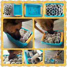 Spel 14 Hondenspel Hond Spel Denkwerk Hersenwerk Brain Dog Game Play Diy Www Facebook Com Kopek Kendin Yap
