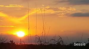 edited_20160425_063435