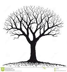 Bare Tree Clipart Free Large Images Tree Drawing Tree Coloring Page Trees Art Drawing