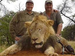 The founder and ceo of jimmy john's, a restaurant chain famous for the quick delivery of its products, is under fire for his 2010 african safari. Safava Blog Jimmy John S Owner Hunting Exotic Animals