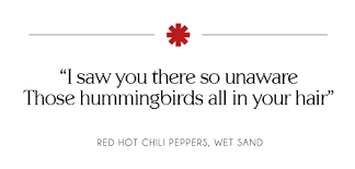 Rhcp Lyrics Photo Red Hot Chili Peppers Lyrics Feel Good Quotes Rhcp