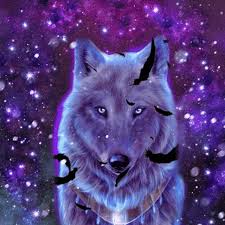 We choose the most relevant backgrounds for different devices: Galaxy Wolf Wallpaper Gif Novocom Top