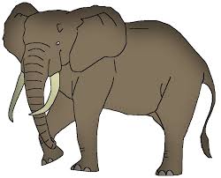 Image result for Antrocaryon nannanii