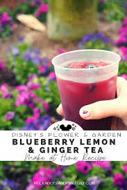 Bloomin Blueberry Lemon And Ginger Tea Recipe Disney S Flower And Garden Recipe Ginger Tea Recipe Ginger Tea Blueberry Tea