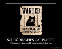 The best memes from instagram, facebook, vine, and twitter about schrodingers cat meme. The Art Of Schrodinger S Cat Mental Floss