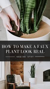How To Make A Faux Plant Look Real Nadine Stay Fake Plants Decor Faux Plants Fake House Plants